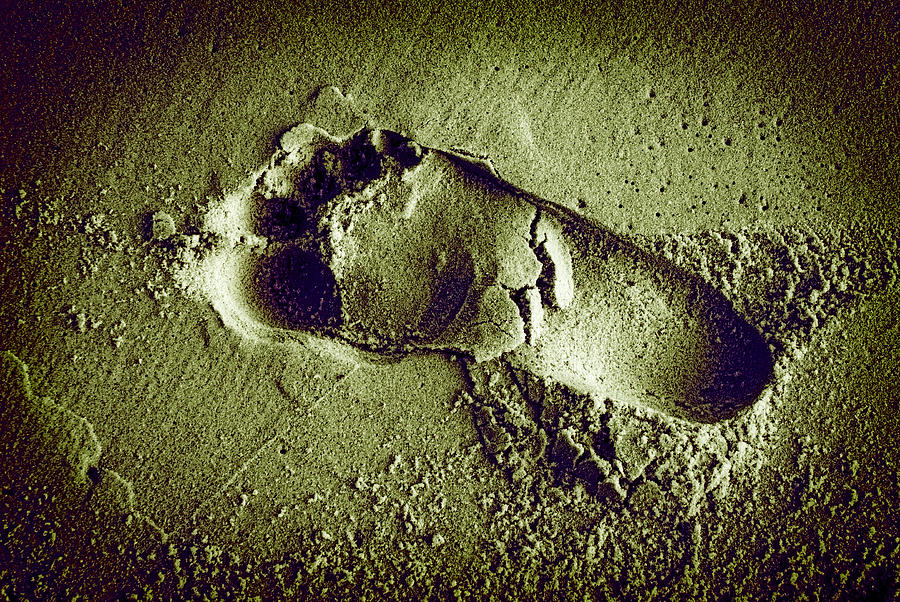 Footprint in the sand #2 Photograph by Patrick Kain