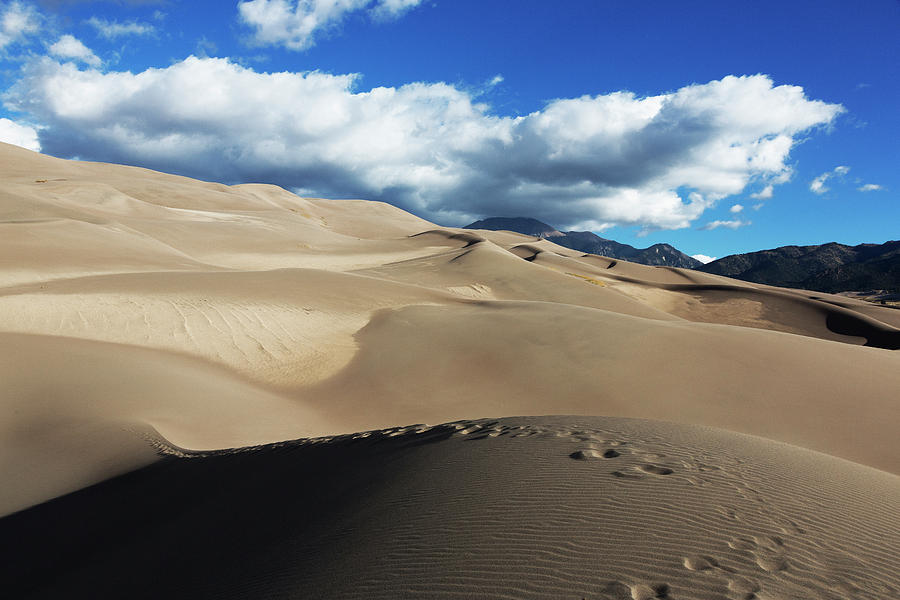 Footprints, Dunes, Great Sand Dunes National Park, Colorado Photograph ...