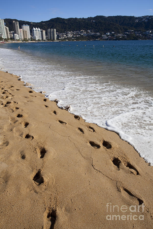 Footprints in sand in Acapulco Mexico #1 Photograph by Anthony Totah
