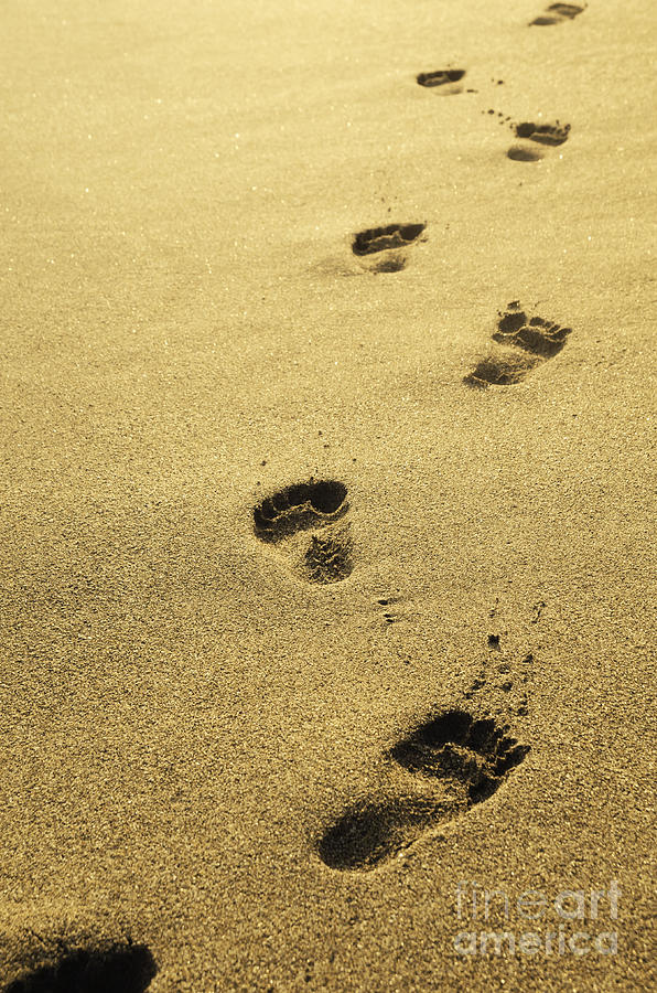 Footprints in the sand #2 Photograph by Jelena Jovanovic
