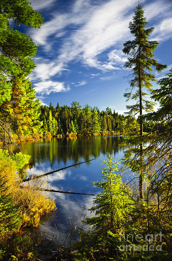 Forest and sky reflecting in lake 2 Photograph by Elena Elisseeva