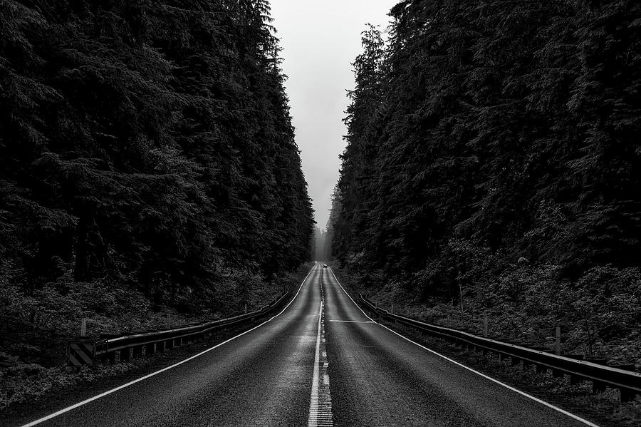 Forest Drive Photograph by Mountain Dreams - Fine Art America