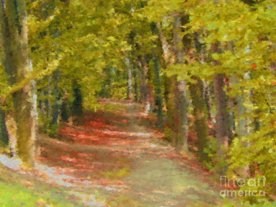 Forest path #1 Mixed Media by Miroslav Nemecek