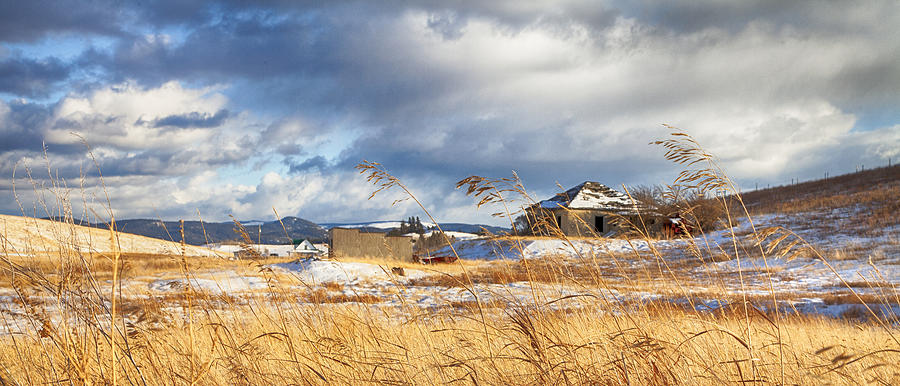 Mountain Photograph - Forgotten Farmhouse by Theresa Tahara