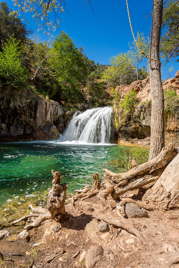 Fossil Creek Springs Photograph by Jon Manjeot Pixels