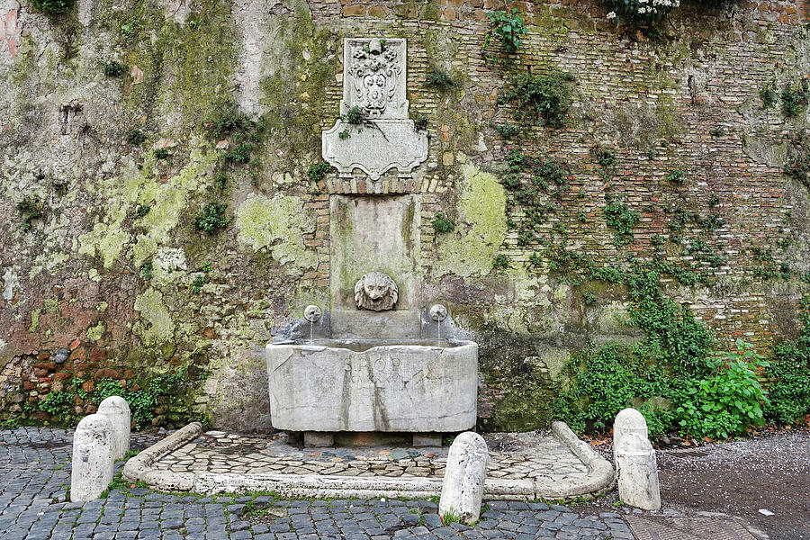 Fountain In Rome Italy #2 Photograph by Rick Rosenshein