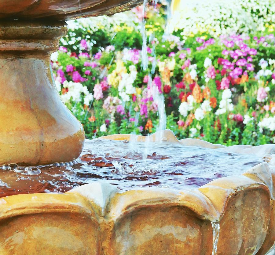 Fountain of Life Photograph by Karen Jbon Lee - Fine Art America