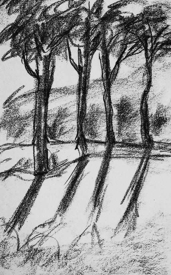 Four tree #1 Drawing by Hae Kim