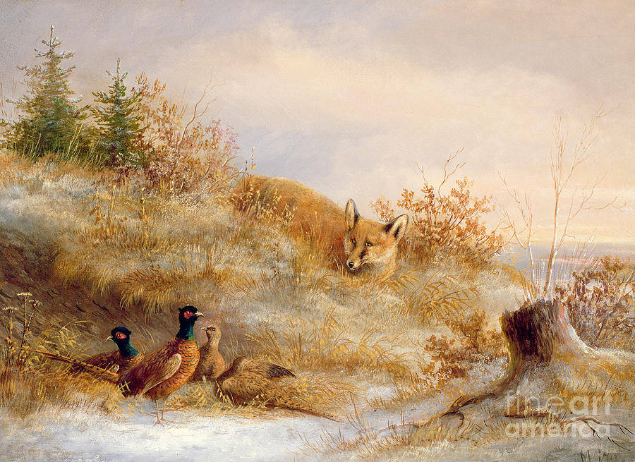 Fox and Pheasants in Winter Painting by Anonymous