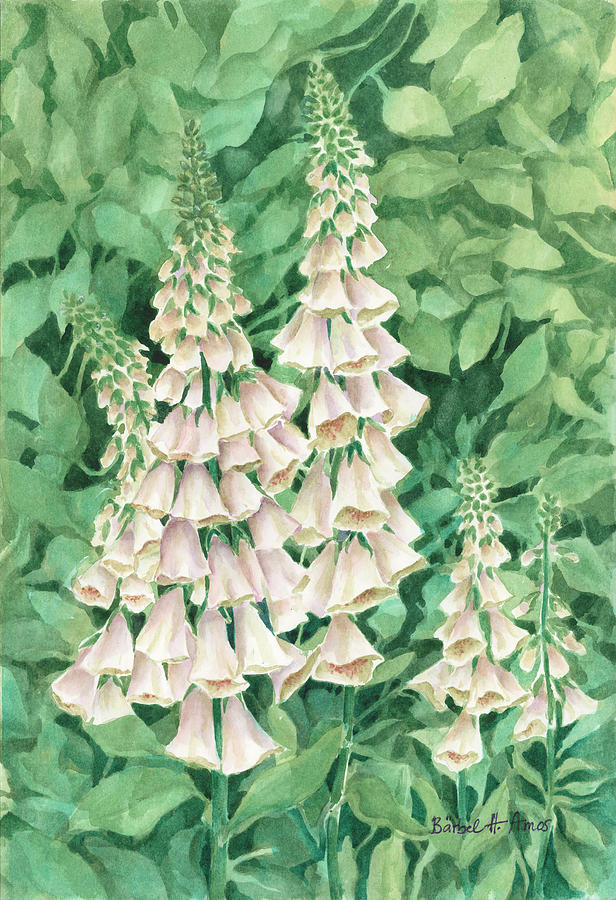 Foxglove #1 Painting by Barbel Amos