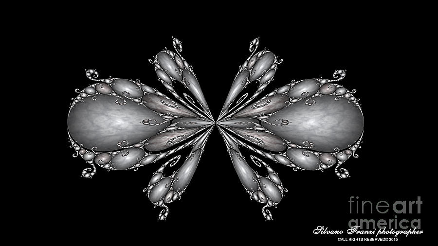 Fractals #2 Digital Art by Silvano Franzi