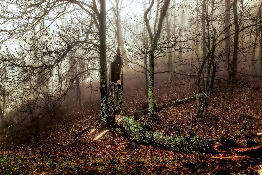 Fractured In Fog by Deborah Scannell Fractured In Fog by Deborah Scannell