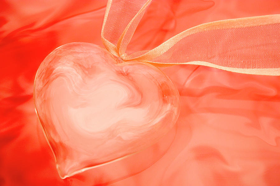 Heart Photograph - Fragile Heart Valentines Day Card by Carol Leigh