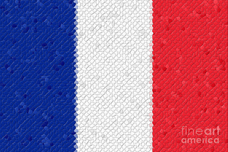 France Flag Mosaic #1 Photograph by Henrik Lehnerer