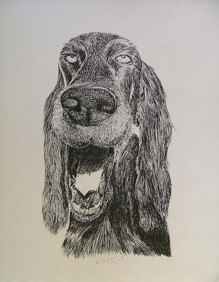 Dog Drawing - Fred #1 by Dan Hausel