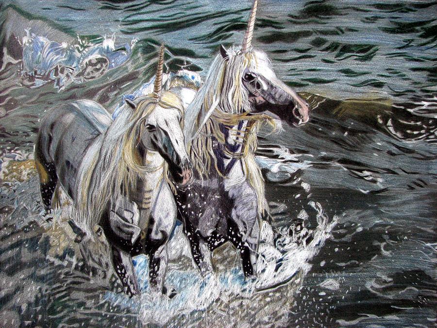Horse Drawing - Freedom and friendship by Melita Safran