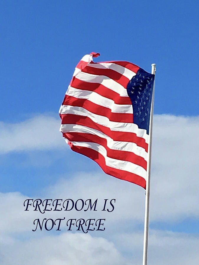 Freedom Is Not Free Mixed Media by Monique Neugebauer Pixels