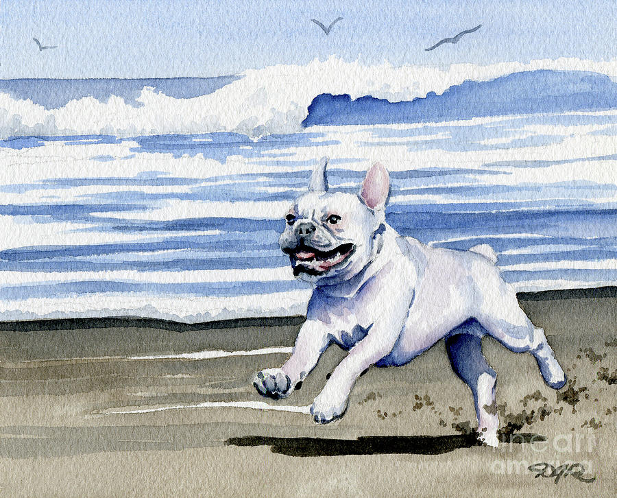 Beach Painting - French Bulldog at the Beach #2 by David Rogers