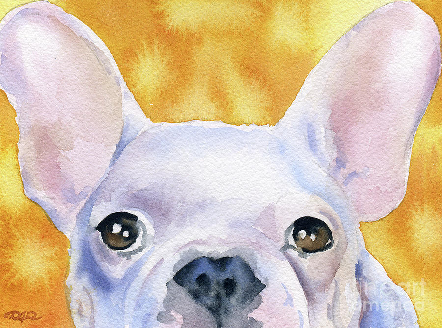 Portrait Painting - French Bulldog  #1 by David Rogers