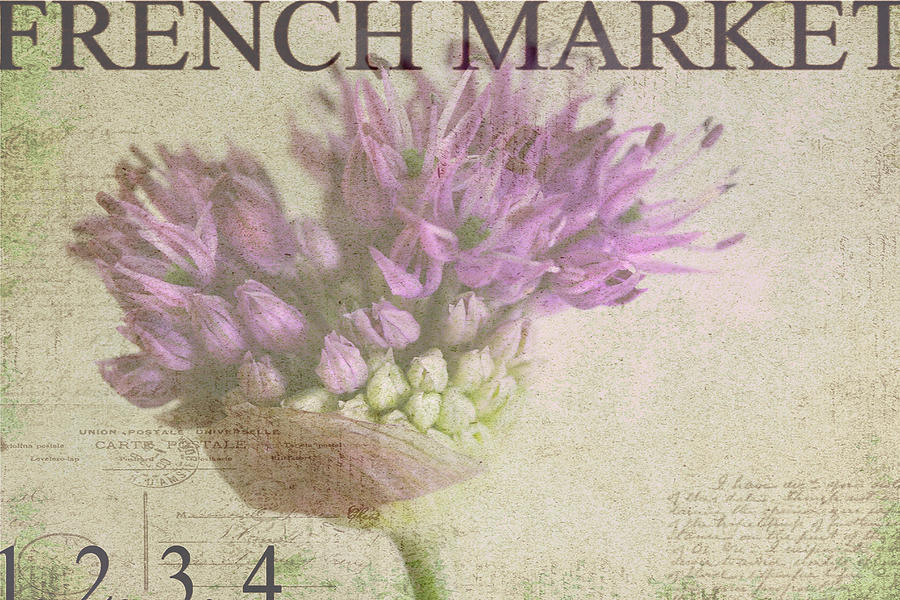 Flower Photograph - French Market Series G #1 by Rebecca Cozart