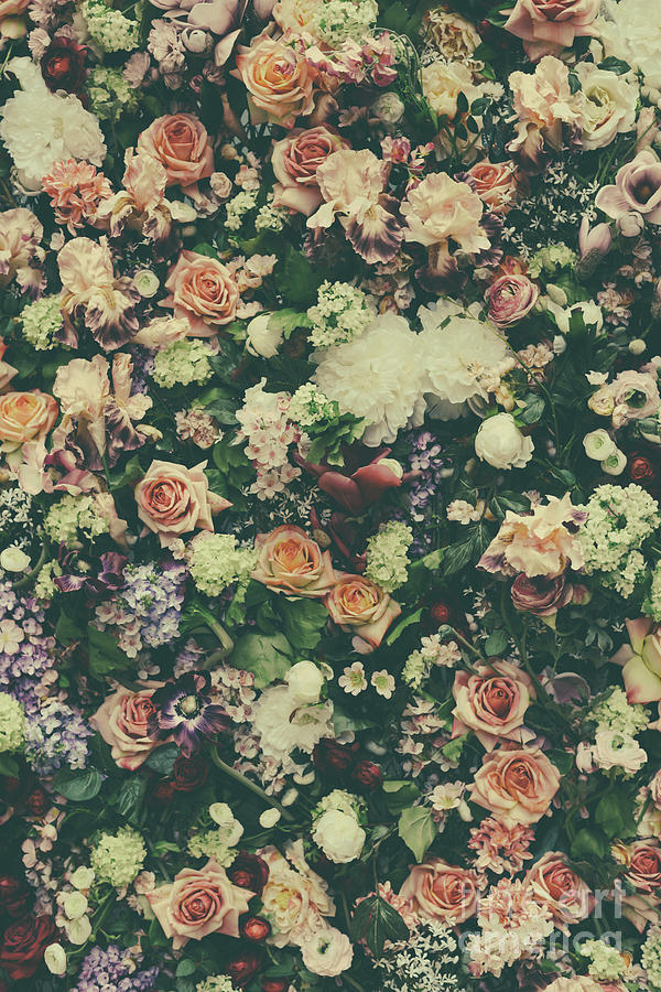 Fresh flower pattern background #1 Photograph by Jelena Jovanovic
