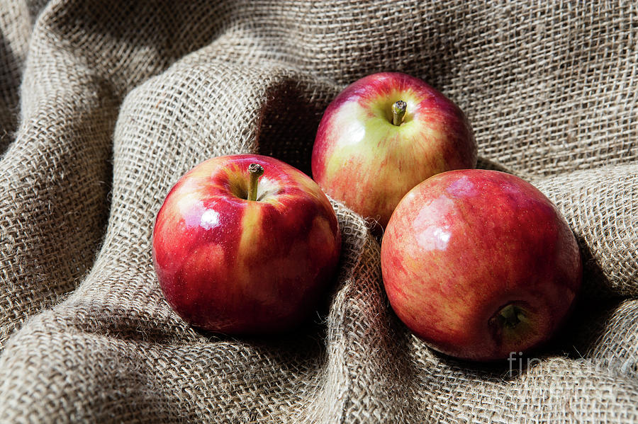 Fresh juicy apples on jute bag Photograph by B-d-s - Pixels