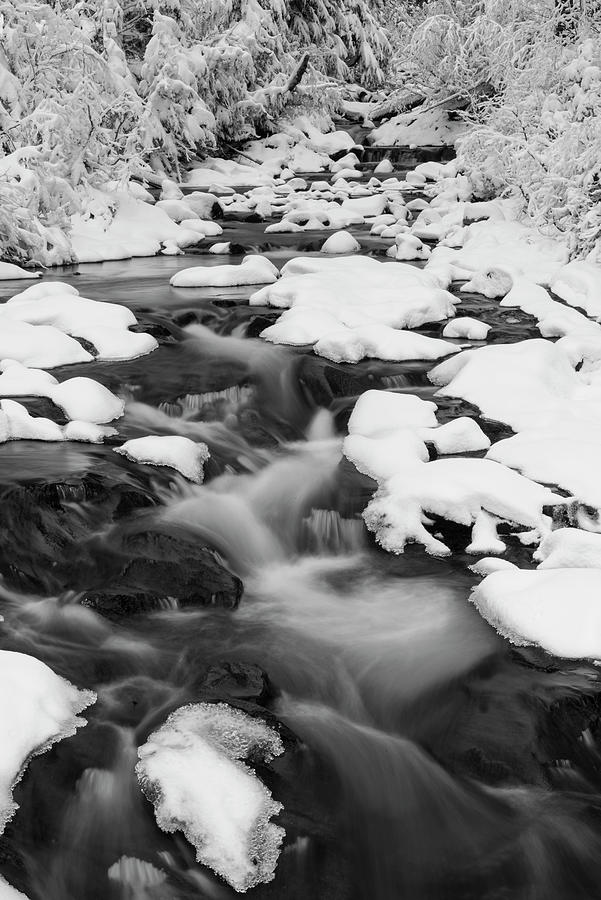 Fresh Snow in Paradise River #2 Digital Art by Michael Lee
