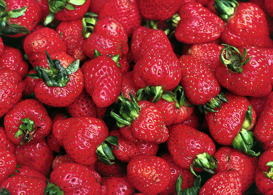 Fresh Strawberries #1 Photograph by Sally Weigand