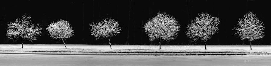 Frost Line Photograph by Ed Boudreau