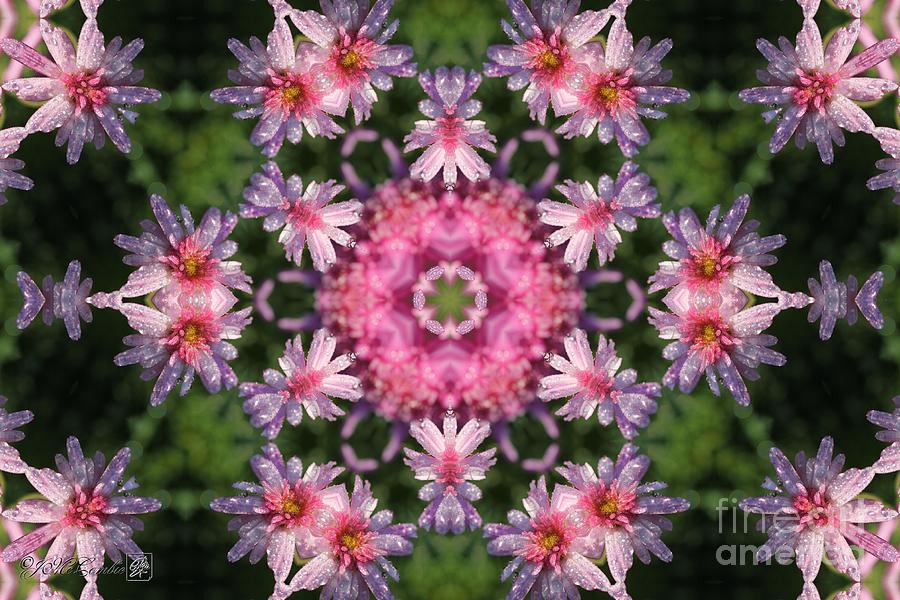 Frosted Double Pink Abstract #3 Digital Art by J McCombie