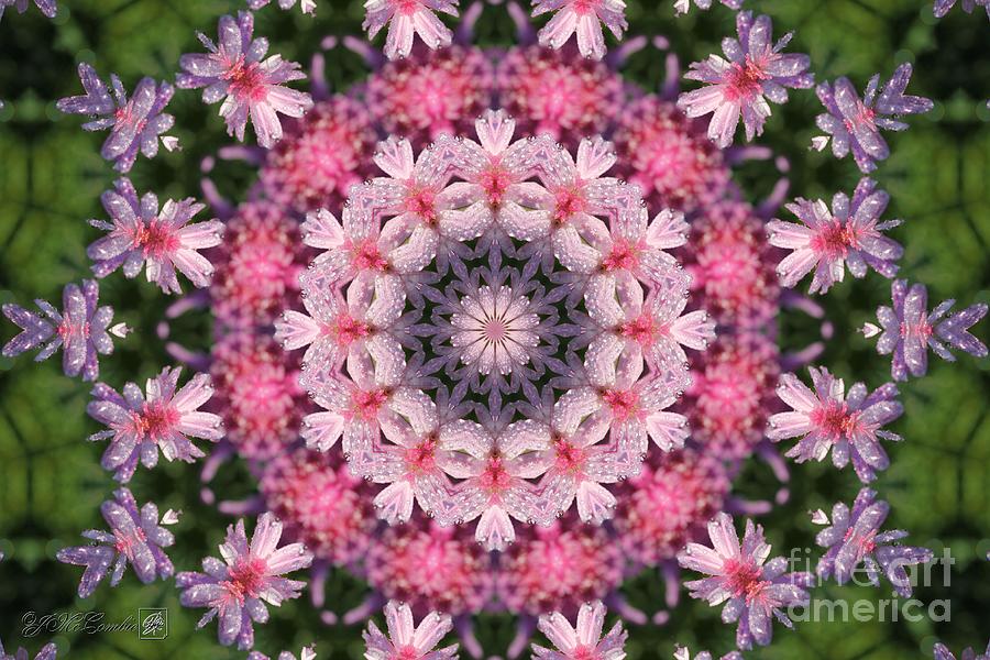 Frosted Double Pink Mandala #1 Digital Art by J McCombie