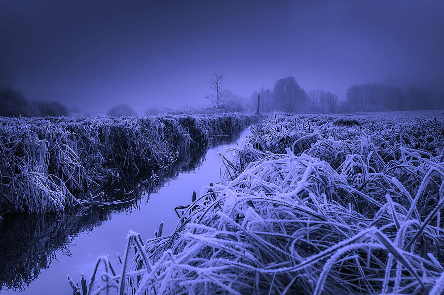 Frosty Field Photograph by Mountain Dreams - Fine Art America