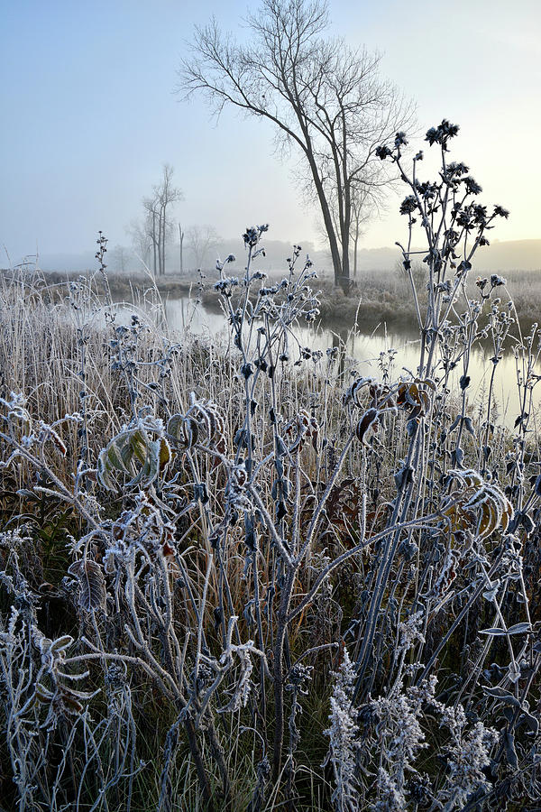 Frosty Morning on Nippersink Creek in Glacial Park #1 Photograph by Ray Mathis