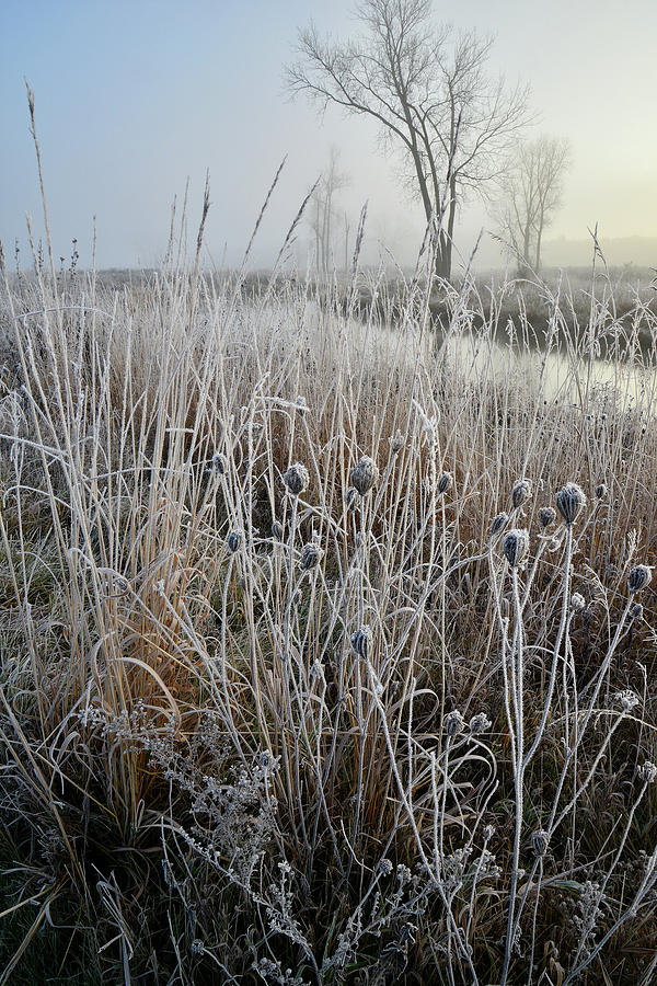 Frosty Morning on Nippersink Creek #1 Photograph by Ray Mathis