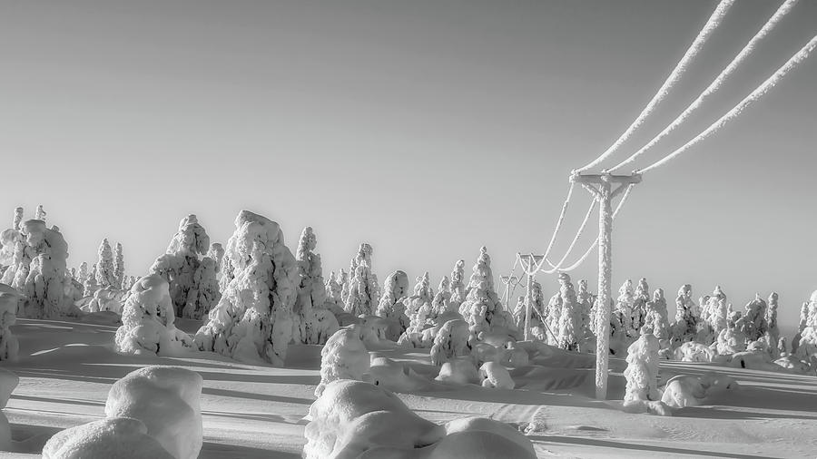 Frozen Winter Wonderland #1 Photograph by Mountain Dreams