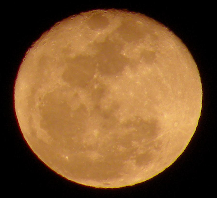 Spring Moon Photograph - Full Bloom by Kim Zwick Spring Moon Photograph - Full Bloom by Kim Zwick