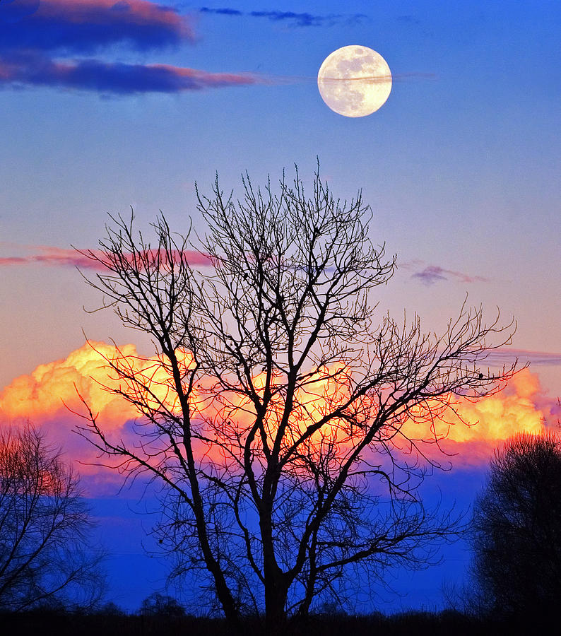 Full Moon Rising #1 Photograph by Floyd Hopper