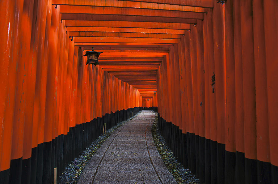 Fushimi Inari Taisha #1 Photograph by Brian Kamprath