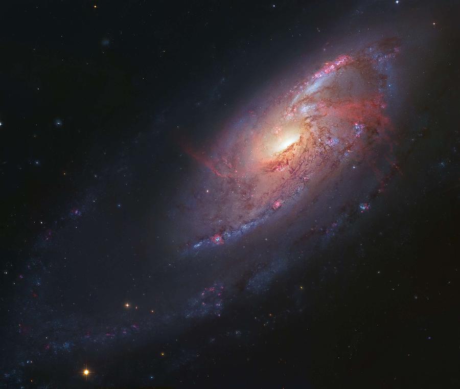 Galaxy M106 #1 Painting by Celestial Images