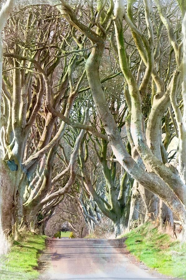 Game Of Thrones Photograph - Game Of Thrones by John Hughes Game Of Thrones Photograph - Game Of Thrones by John Hughes