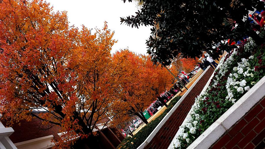 Gameday Fall Colors #1 Photograph by Kenny Glover