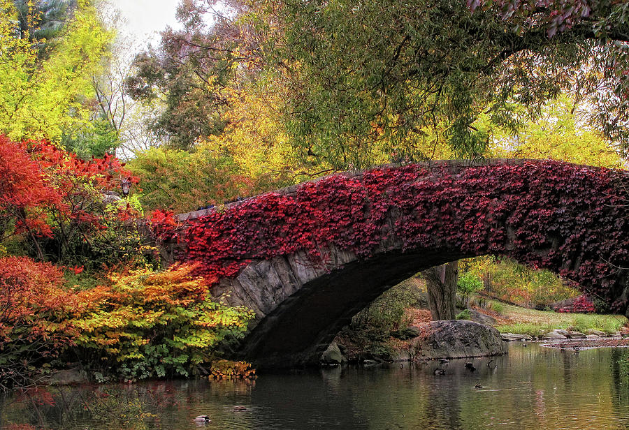 Gapstow Bridge In Autumn Photograph By Jessica Jenney