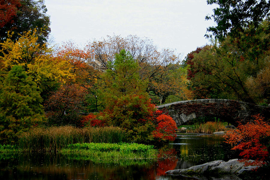 Gapstow Bridge in Fall #1 Photograph by Christopher J Kirby