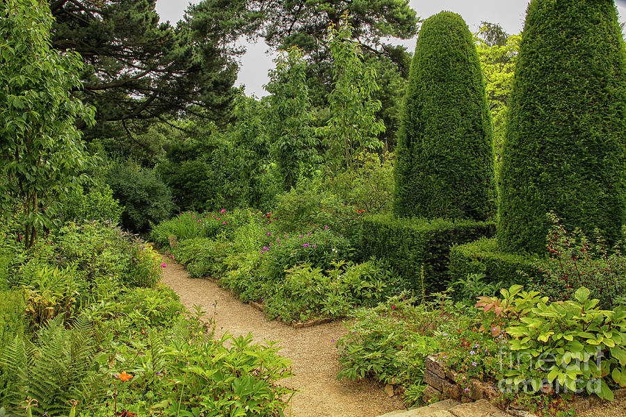 Garden at Sudeley castle Photograph by Patricia Hofmeester