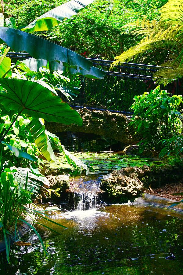 Garden Falls Photograph by Bennett Thompson