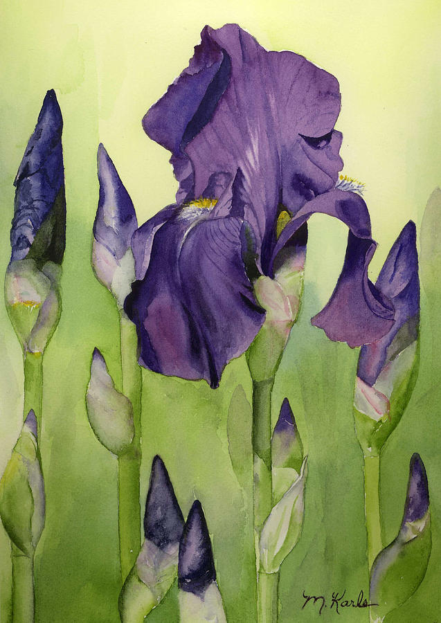 Garden Iris Painting by Marsha Karle