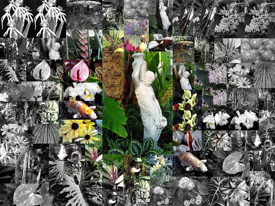 Jungle Photograph - Garden Muse #1 by Mindy Newman