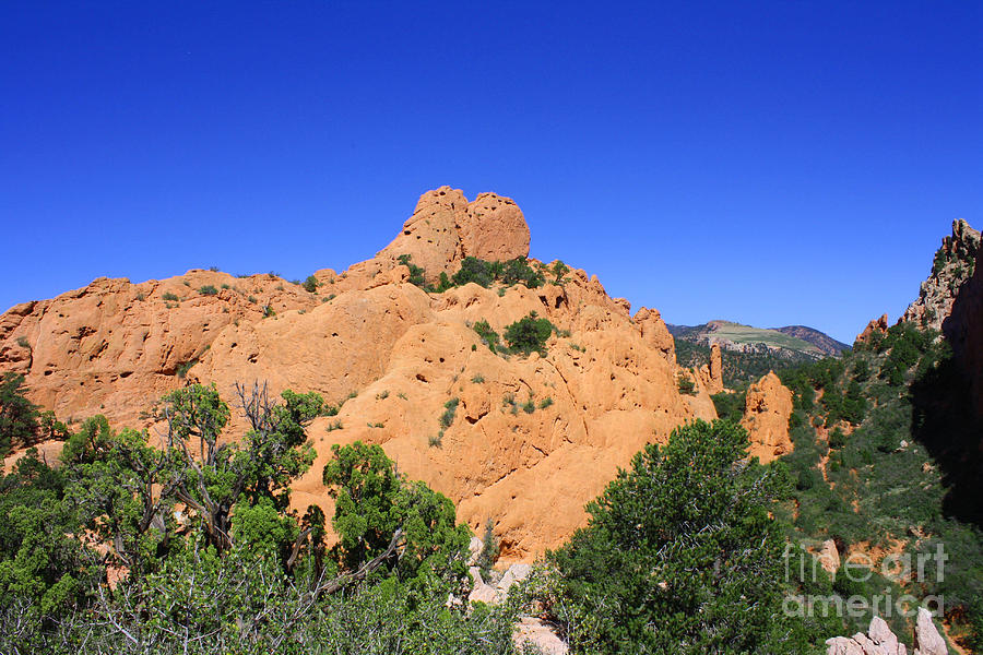 Garden of the Gods #1 Photograph by Tommy Anderson