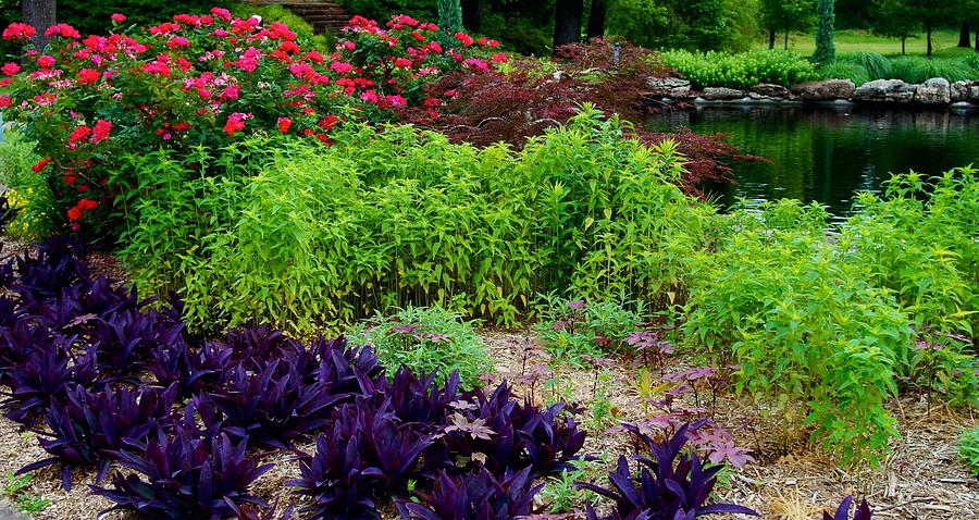 Gardens #2 Photograph by Linda Cupps - Fine Art America