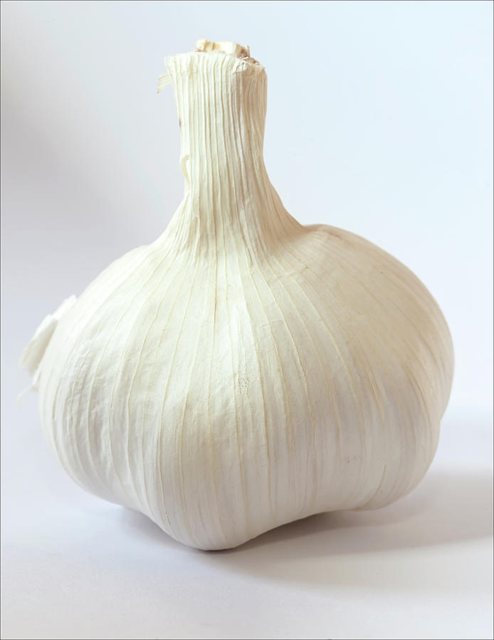 Garlic Still Life #1 Photograph by Robert Ullmann